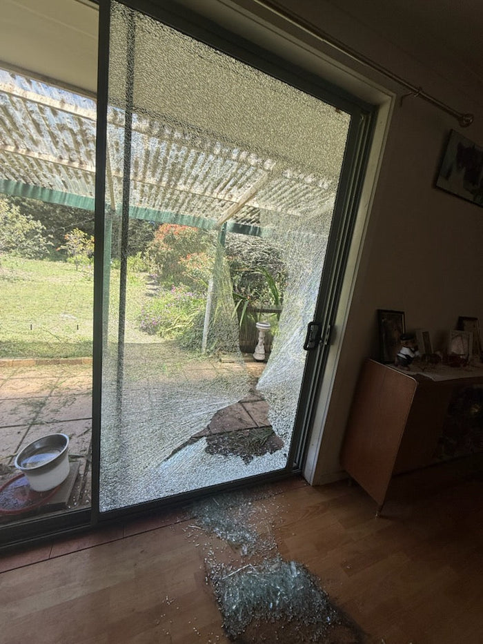 A Big Dog Hit the Slider and It Was Gone Instantly