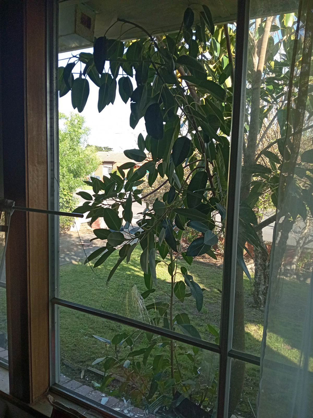 Someone Fell Through a Window in Breakwater, and the Glass Was the Problem