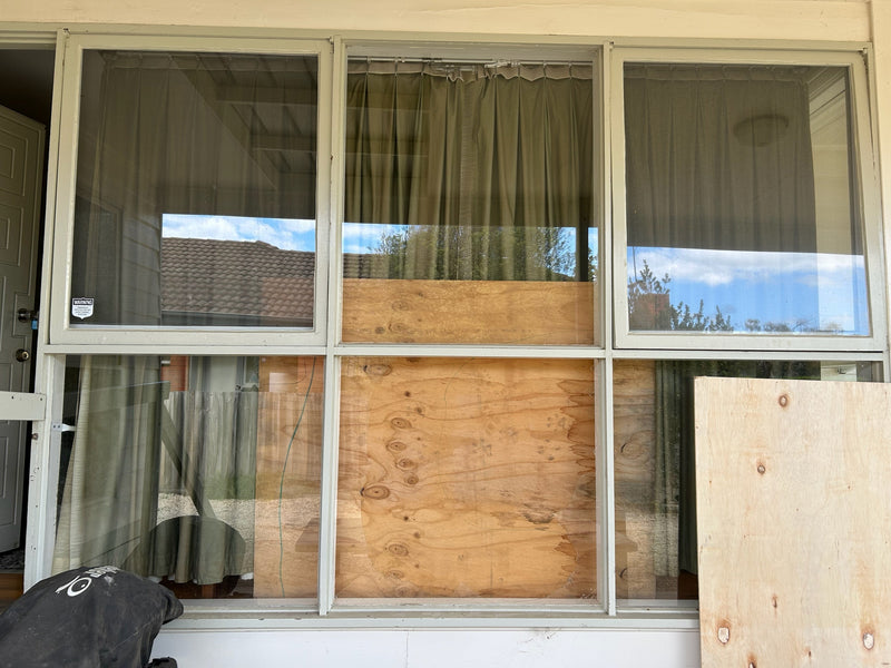 Two Kids Play Fighting, One Living Room Window