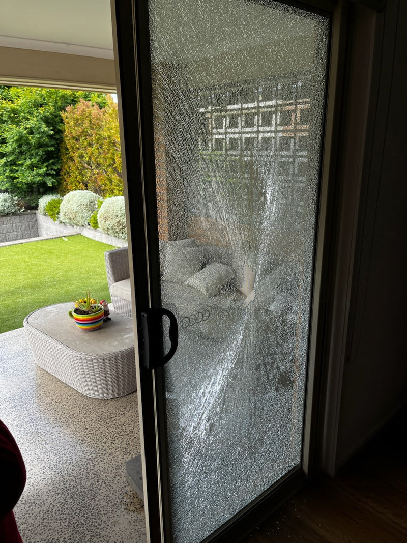A Stray Dart Took Out an Entire Sliding Door in Marshall