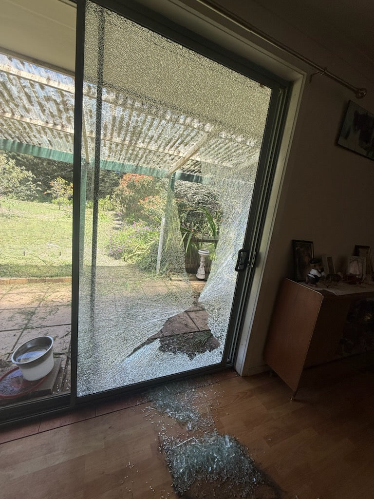 A Big Dog Hit the Slider and It Was Gone Instantly