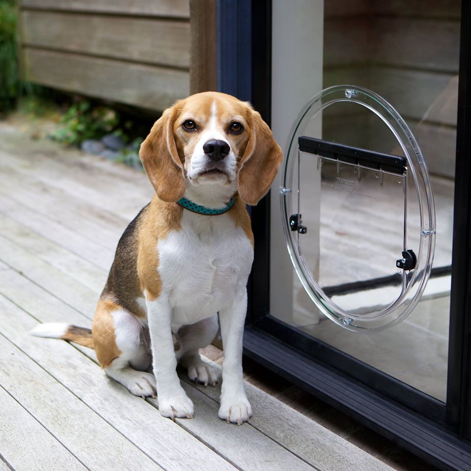 Transcat Pet Doors for Glass Installations